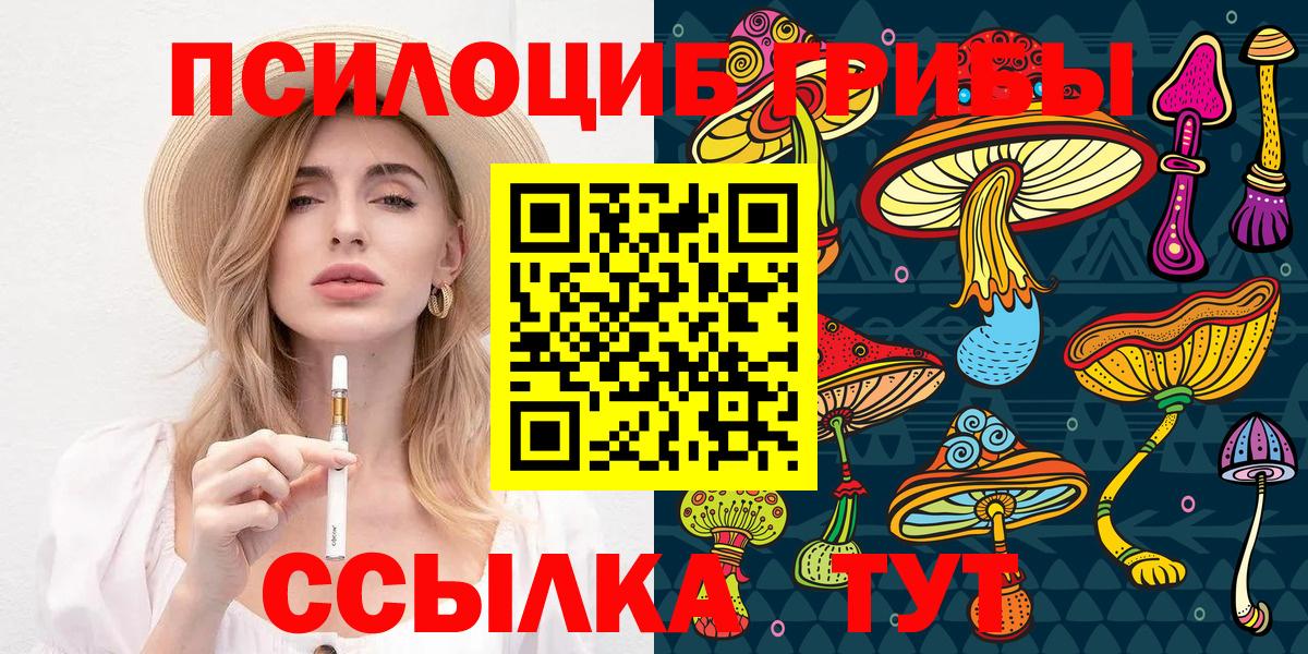 Михайловка  Псилоцибиновые грибы мухоморы  Вход с VPN 